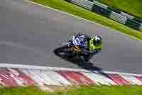 cadwell-no-limits-trackday;cadwell-park;cadwell-park-photographs;cadwell-trackday-photographs;enduro-digital-images;event-digital-images;eventdigitalimages;no-limits-trackdays;peter-wileman-photography;racing-digital-images;trackday-digital-images;trackday-photos